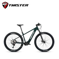 TWISTER EM5 Electric Bike